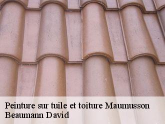 Peinture sur tuile et toiture  maumusson-44540 Beaumann David