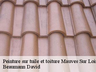 Peinture sur tuile et toiture  mauves-sur-loire-44470 Beaumann David