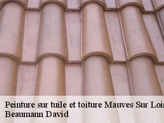 Peinture sur tuile et toiture mauves-sur-loire-44470 Beaumann David