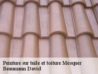 Peinture sur tuile et toiture  mesquer-44420 Beaumann David