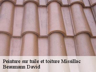 Peinture sur tuile et toiture  missillac-44780 Beaumann David