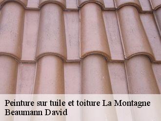 Peinture sur tuile et toiture  la-montagne-44620 Beaumann David