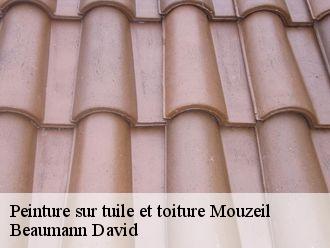 Peinture sur tuile et toiture mouzeil-44850 Beaumann David