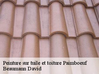 Peinture sur tuile et toiture  paimboeuf-44560 Beaumann David