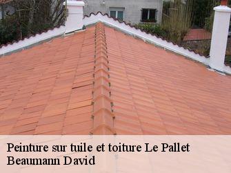 Peinture sur tuile et toiture  44330