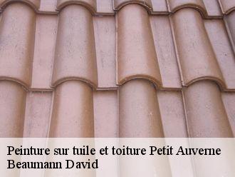 Peinture sur tuile et toiture  petit-auverne-44670 Beaumann David