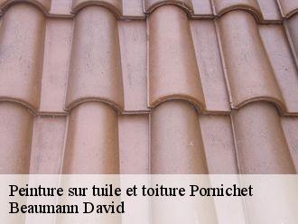 Peinture sur tuile et toiture pornichet-44380 Beaumann David