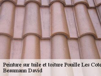 Peinture sur tuile et toiture  pouille-les-coteaux-44522 Beaumann David