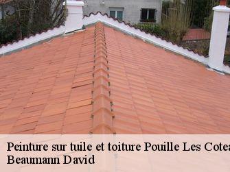 Peinture sur tuile et toiture  44522