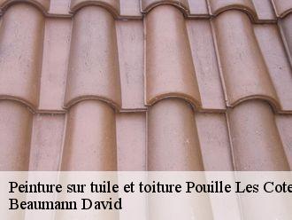 Peinture sur tuile et toiture pouille-les-coteaux-44522 Beaumann David