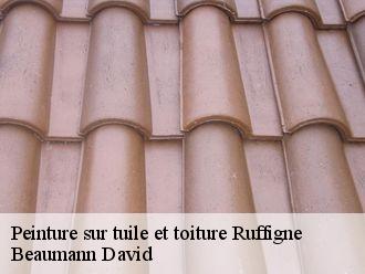 Peinture sur tuile et toiture  ruffigne-44660 Beaumann David