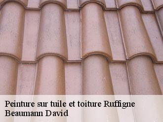 Peinture sur tuile et toiture ruffigne-44660 Beaumann David