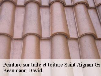 Peinture sur tuile et toiture  saint-aignan-grandlieu-44860 Beaumann David