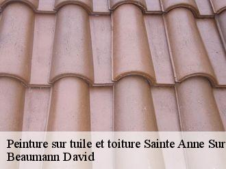 Peinture sur tuile et toiture  sainte-anne-sur-brivet-44160 Beaumann David