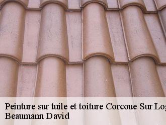 Peinture sur tuile et toiture corcoue-sur-logne-44650 Beaumann David