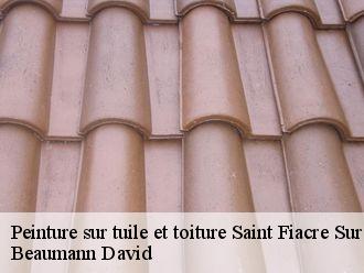 Peinture sur tuile saint-fiacre-sur-maine-44690