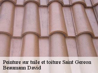 Peinture sur tuile et toiture  saint-gereon-44150 Beaumann David