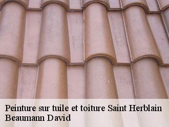 Peinture sur tuile et toiture  saint-herblain-44800 Beaumann David
