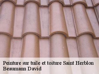 Peinture sur tuile et toiture  saint-herblon-44150 Beaumann David