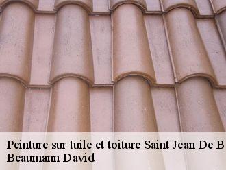 Peinture sur tuile et toiture saint-jean-de-boiseau-44640 Beaumann David