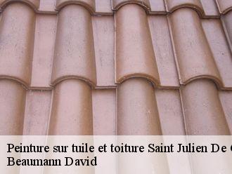 Peinture sur tuile saint-julien-de-concelles-44450