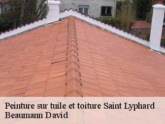 Peinture sur tuile et toiture 44410