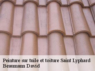 Peinture sur tuile et toiture saint-lyphard-44410 Beaumann David