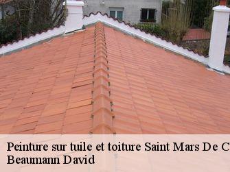 Peinture sur tuile et toiture 44680