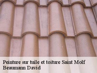 Peinture sur tuile et toiture  saint-molf-44350 Beaumann David