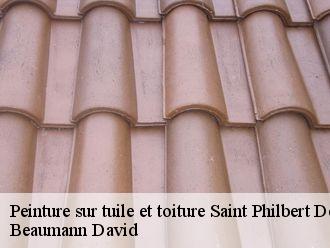 Peinture sur tuile et toiture saint-philbert-de-grand-lieu-44310 Beaumann David