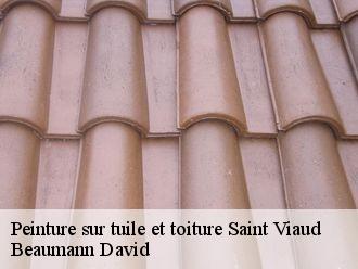 Peinture sur tuile et toiture  saint-viaud-44320 Beaumann David