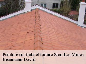 Peinture sur tuile et toiture 44590