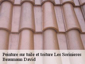 Peinture sur tuile et toiture  les-sorinieres-44840 Beaumann David