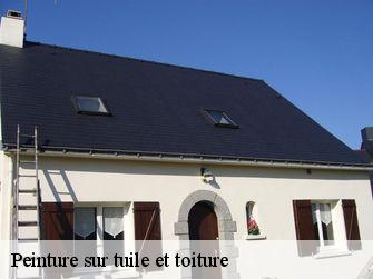 Peinture sur tuile et toiture