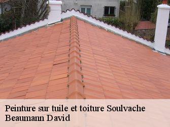 Peinture sur tuile et toiture 44660