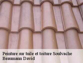 Peinture sur tuile et toiture soulvache-44660 Beaumann David
