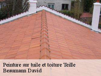 Peinture sur tuile et toiture  44440