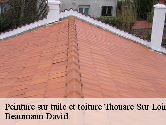 Peinture sur tuile et toiture 44470