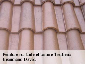 Peinture sur tuile treffieux-44170