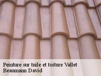 Peinture sur tuile et toiture  vallet-44330 Beaumann David
