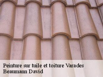 Peinture sur tuile et toiture varades-44370 Beaumann David