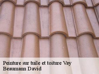 Peinture sur tuile et toiture  vay-44170 Beaumann David