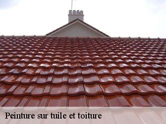 Peinture sur tuile et toiture