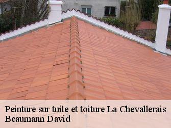 Peinture sur tuile et toiture 44810