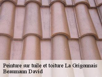 Peinture sur tuile et toiture  la-grigonnais-44170 Beaumann David