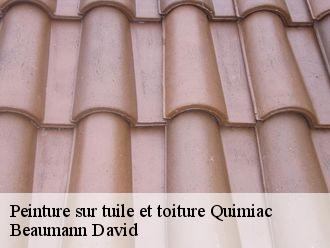 Peinture sur tuile et toiture  quimiac-44420 Beaumann David