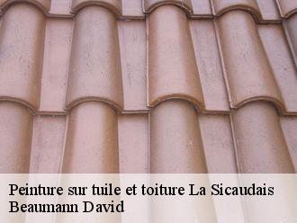 Peinture sur tuile et toiture  la-sicaudais-44320 Beaumann David