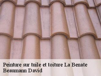 Peinture sur tuile la-benate-44650