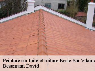 Peinture sur tuile et toiture 44290