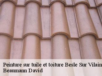 Peinture sur tuile et toiture  besle-sur-vilaine-44290 Beaumann David